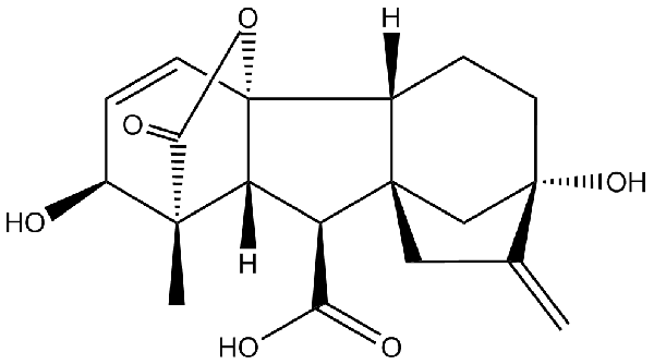 赤霉素GIBBERELLIC ACID，居然有這么神奇？