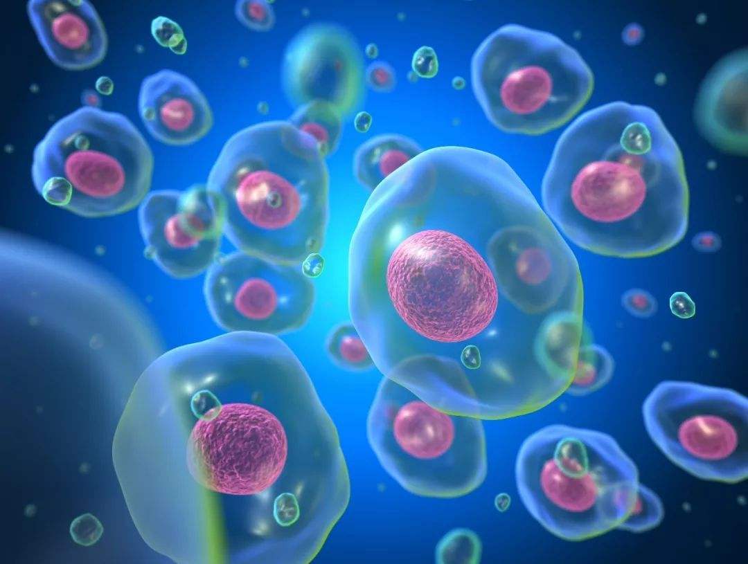 FIX&PERM?細胞固定/透化試劑，助力血液惡性腫瘤研究